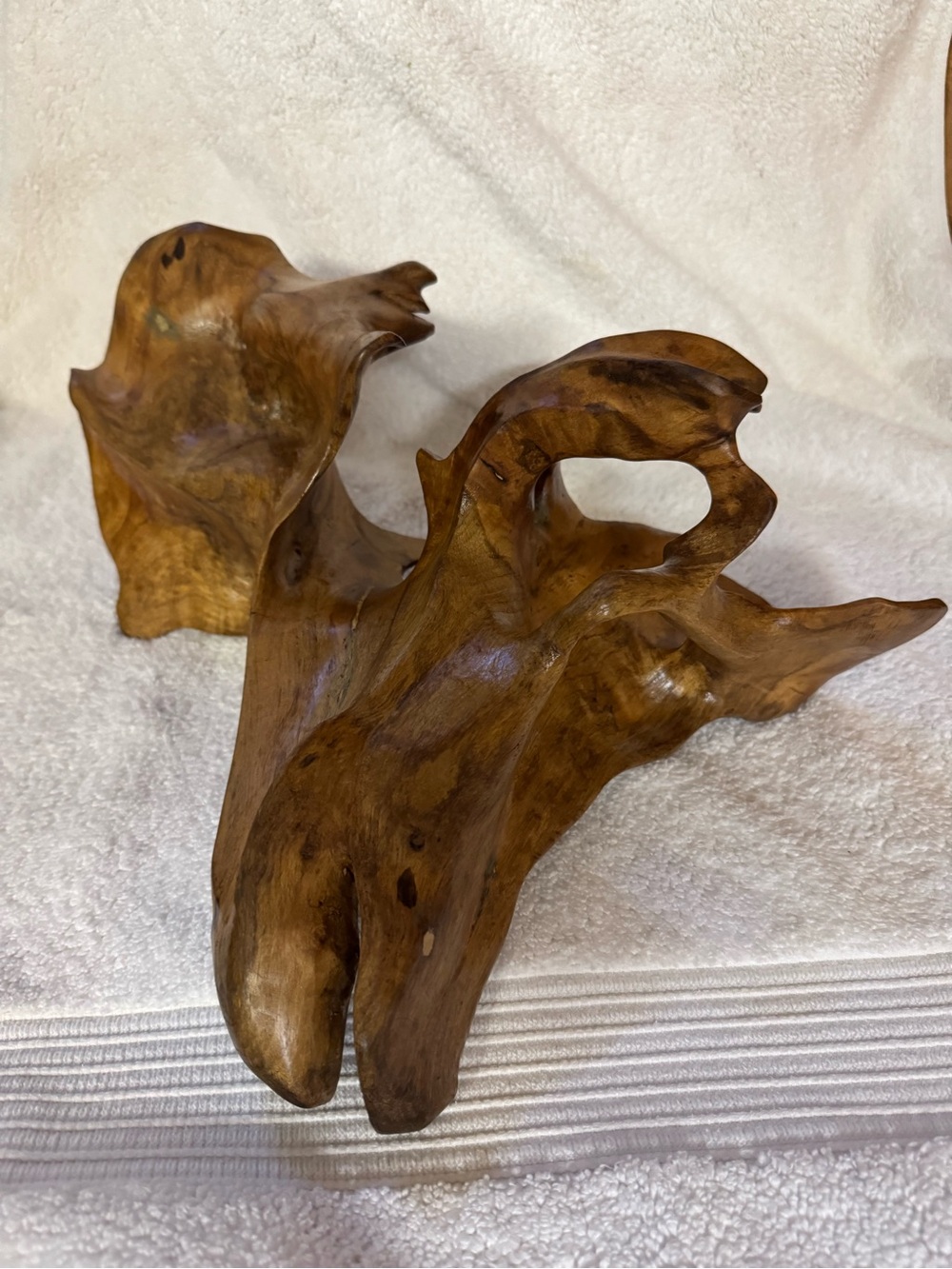 Decorative Natural Wood Burl - Warm Brown